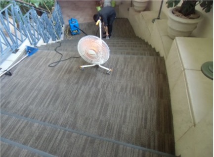 carpet-cleaning07